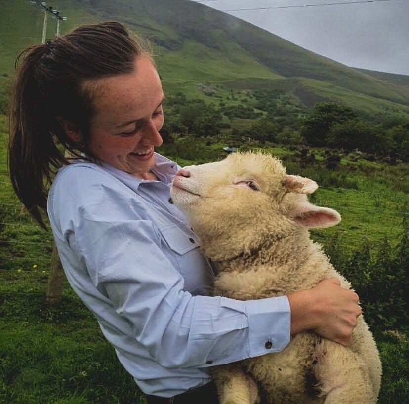 Glendalough and Wicklow Mountains Day Tour - Perfect・Dublin Residence